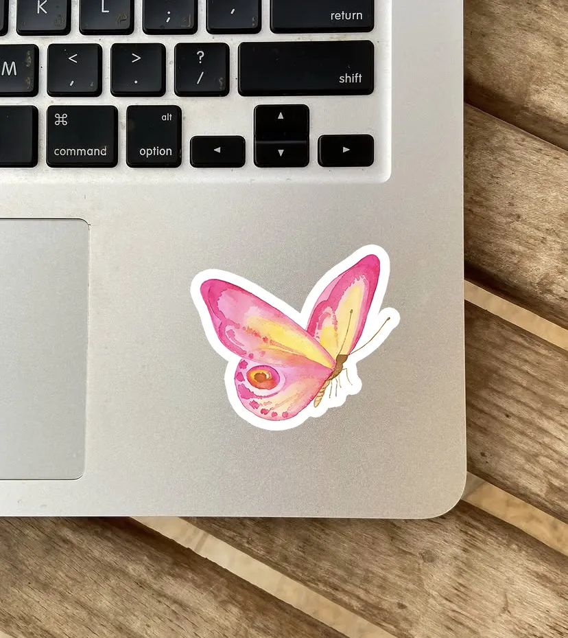 Vibrant Pink & Yellow Butterfly