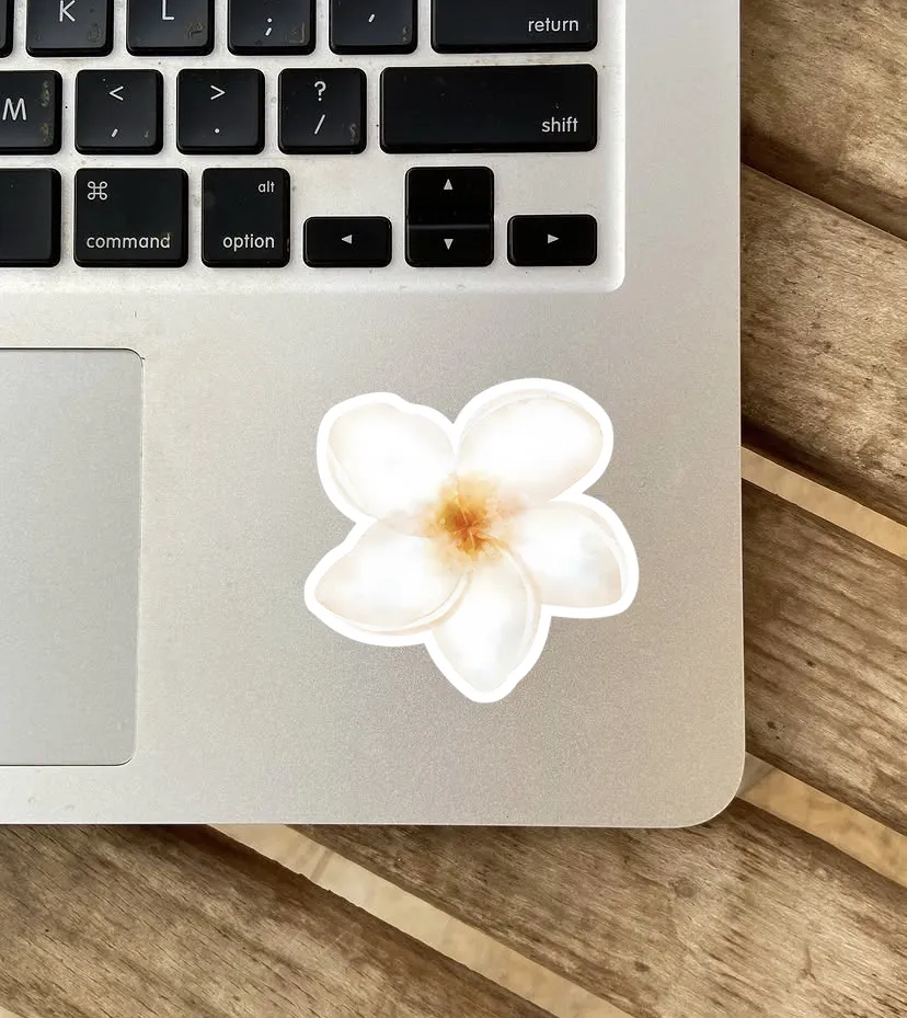 Plumeria Flower