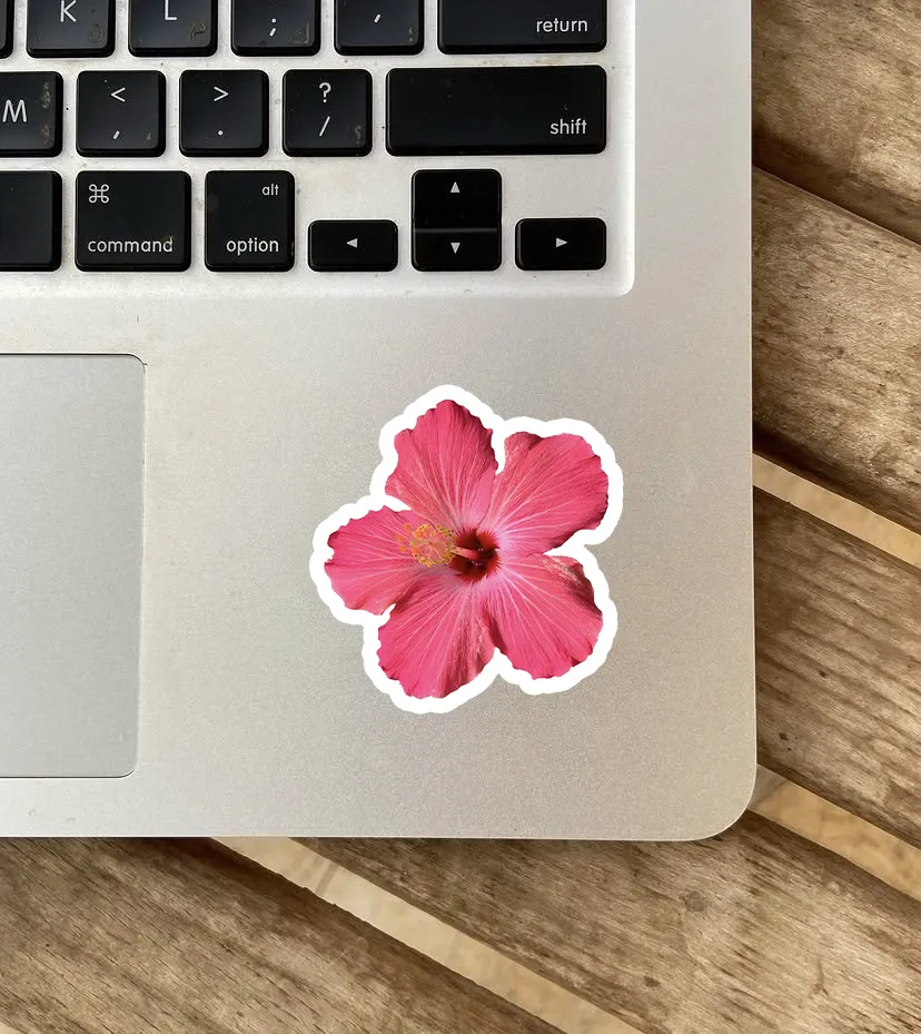 Hot Pink Hibiscus Flower